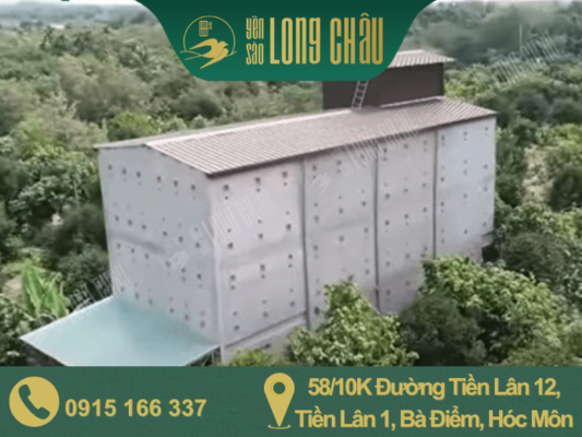 hình nhà nuôi yến long châu và cây