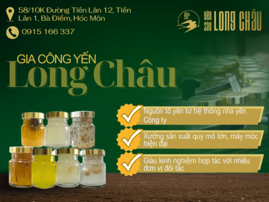 hinh tổ yến long châu và chữ thông tin về yến long châu