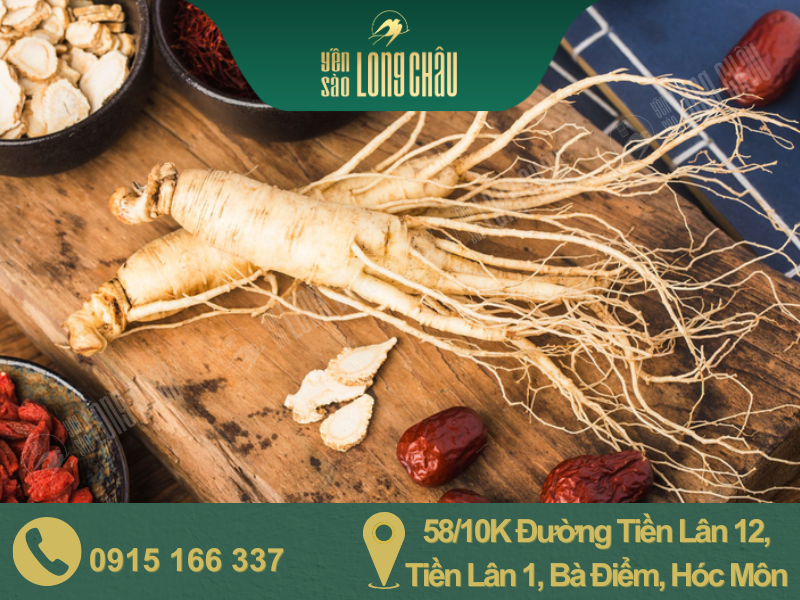 hình củ nhân sâm và táo tàu và chữ