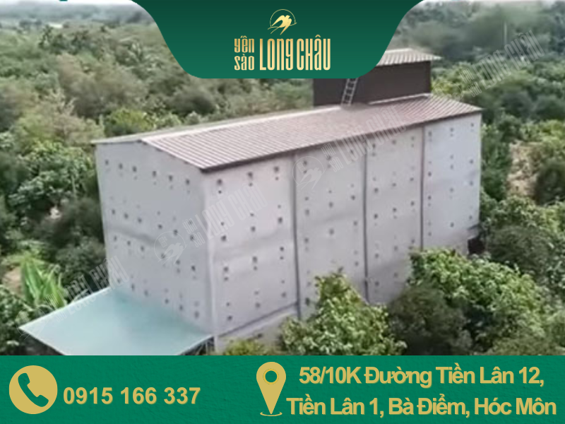 nhà nuôi yến long châu