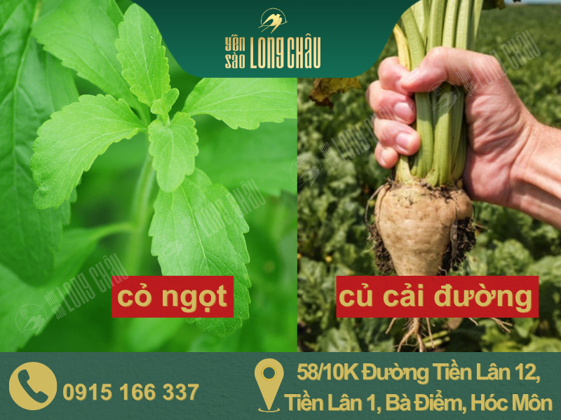 hình cỏ ngọt và củ cải đường và chữ