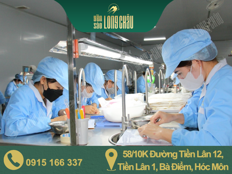 hình nhân công đang nhặt tổ yến