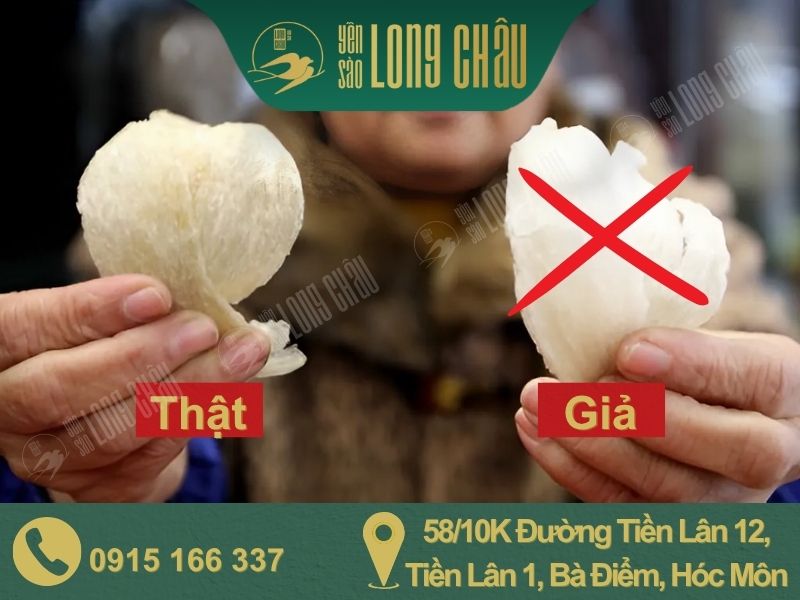 Hình ảnh yến thật, yến giả và chữ