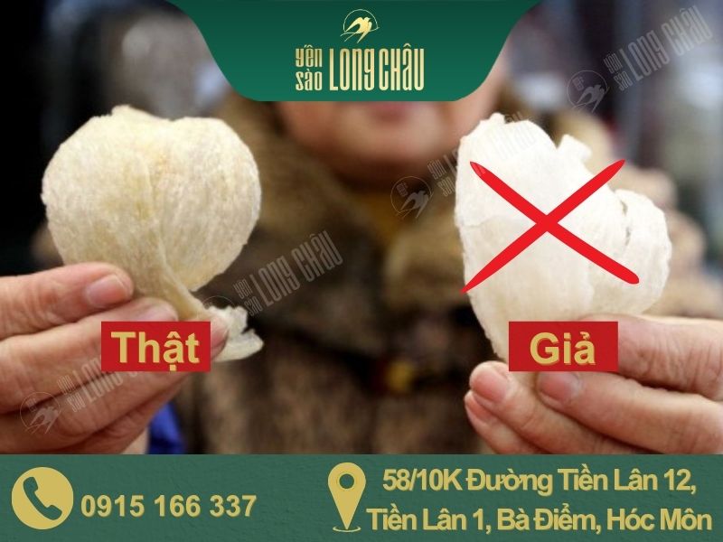 Hình ảnh yến thật, yến giả và chữ