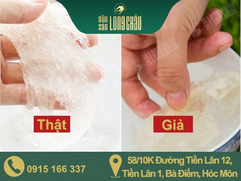 Hình ảnh yến thật, yến giả và chữ