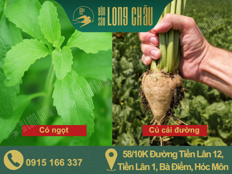 hình cỏ ngọt và củ cải đường và chữ
